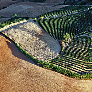 Il Monferrato, Piemonte. Territorio di eccellenze gastronomiche